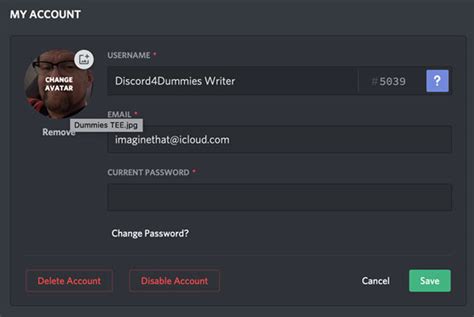 discord dummy account.